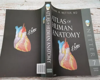 Атлас анатомии человека (Netter Basic Science) 7th